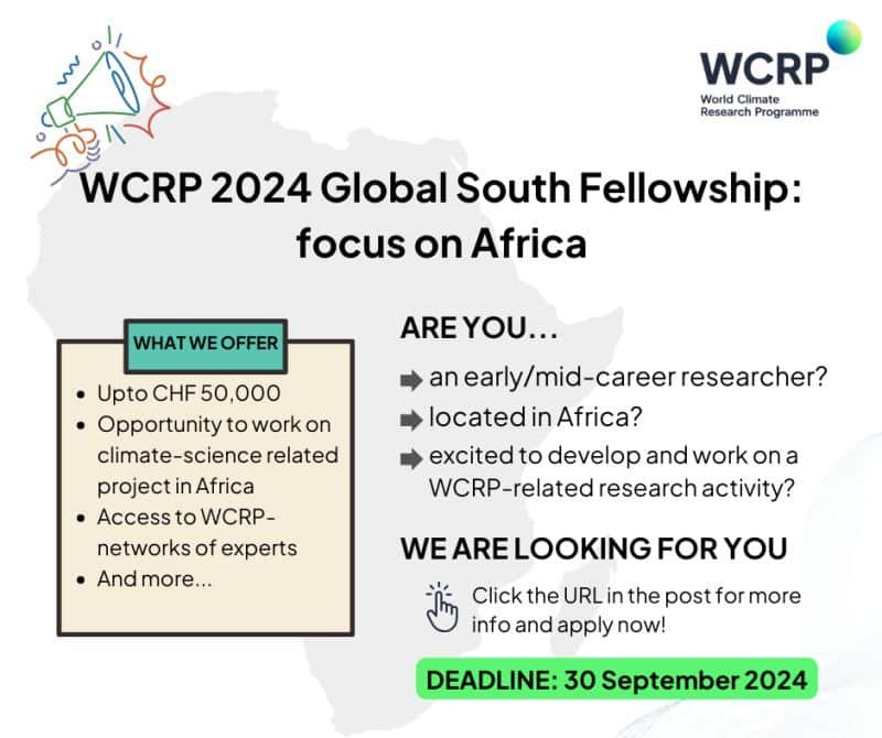 Global South Fellowship