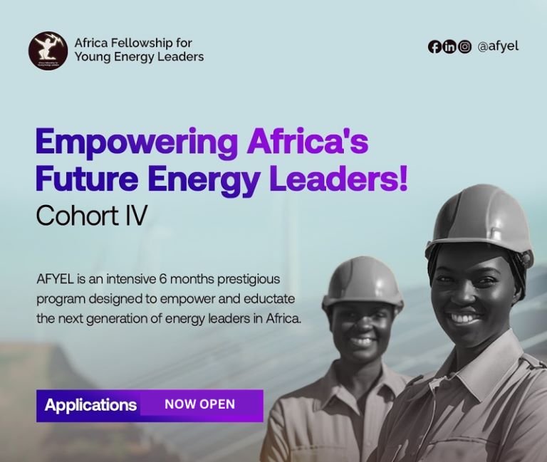 Africa Fellowship for Young Energy Leaders