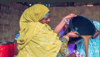 Investing in Women in Nigeria (IIW-Nigeria) Programme
