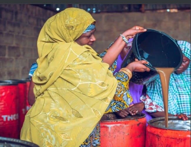 Investing in Women in Nigeria (IIW-Nigeria) Programme