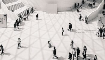 PMC Digital Project Grants