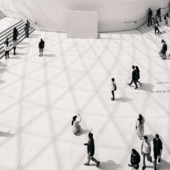 PMC Digital Project Grants