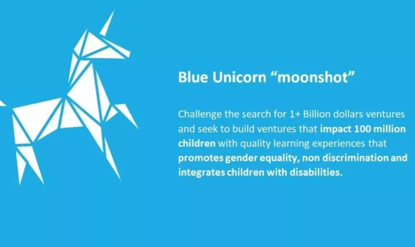 UNICEF Blue Unicorn Farm