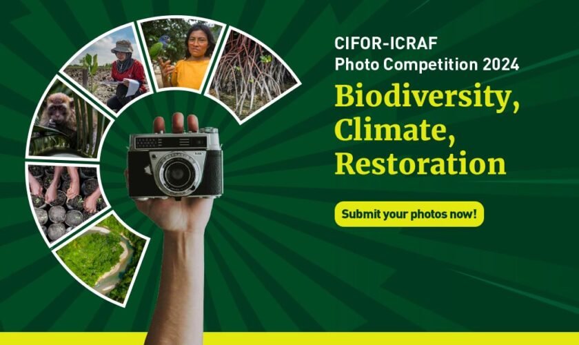 CIFOR-ICRAF Photo Competition