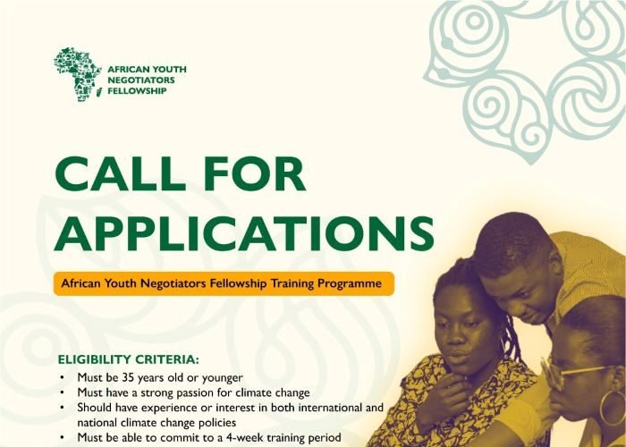 GAYO African Youth Negotiators Fellowship