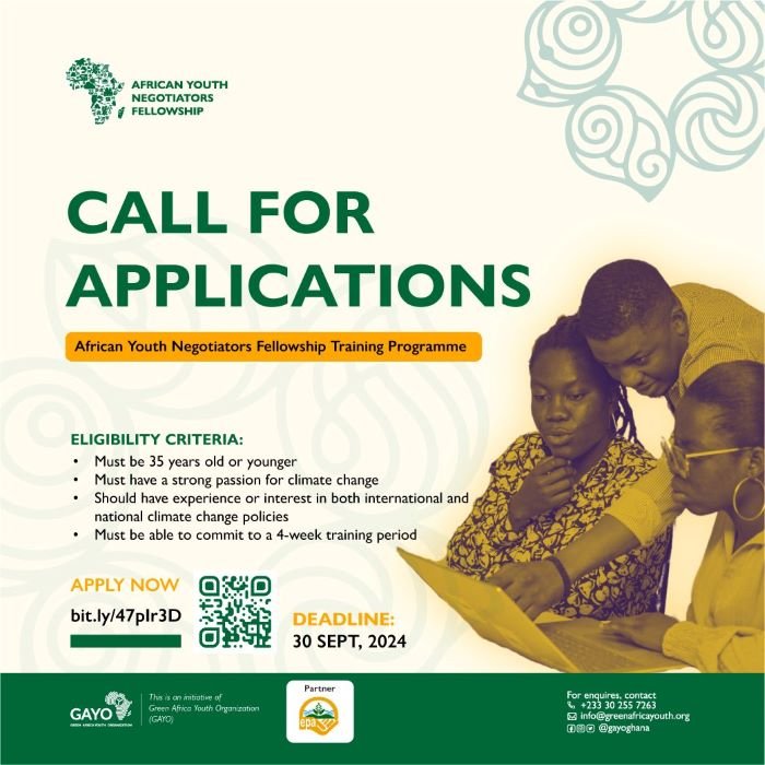 GAYO African Youth Negotiators Fellowship