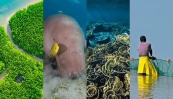 Pure Ocean Call For Projects