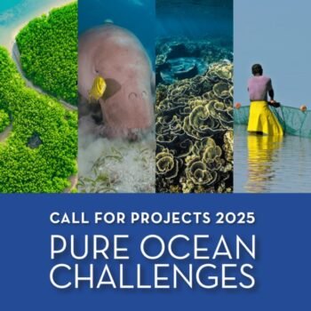 Pure Ocean Call For Projects