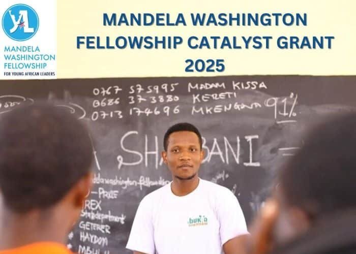 MANDELA WASHINGTON FELLOWSHIP CATALYST GRANT 2025