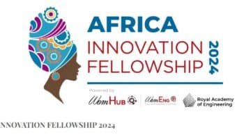 WomHub Africa Innovation Fellowship
