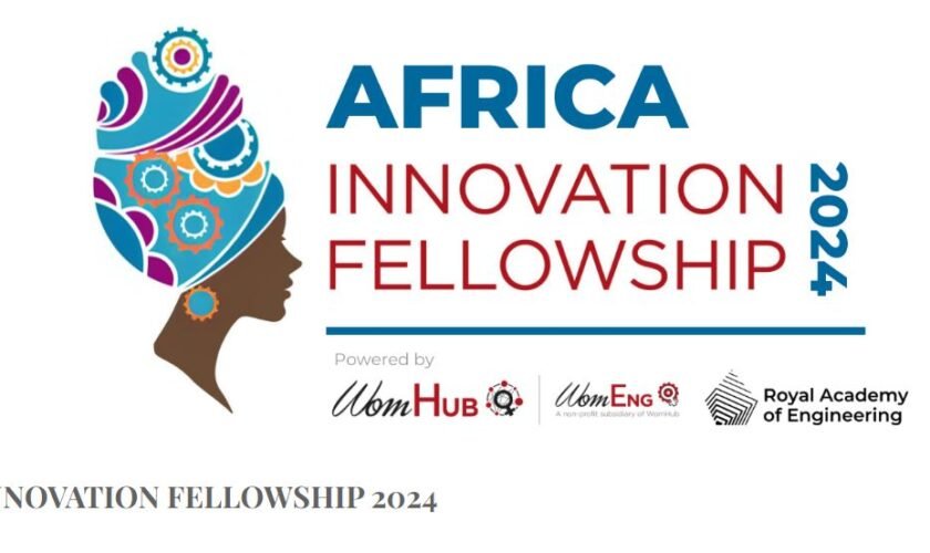 WomHub Africa Innovation Fellowship