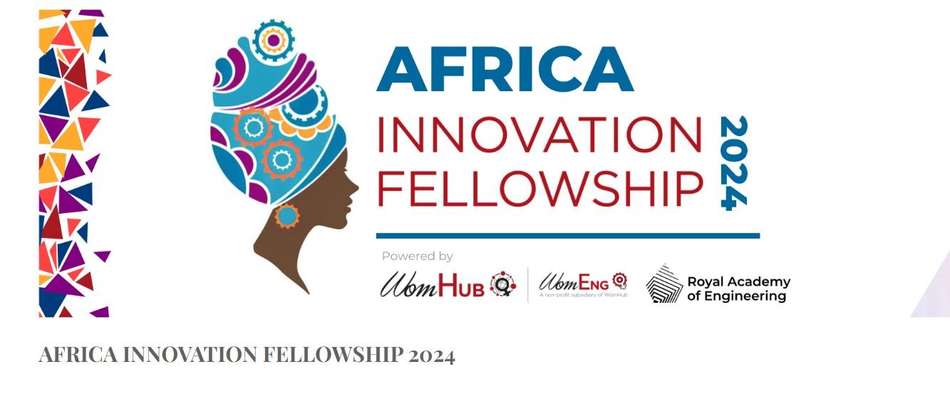 WomHub Africa Innovation Fellowship