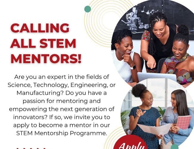 WomHub Mentorship Programmme