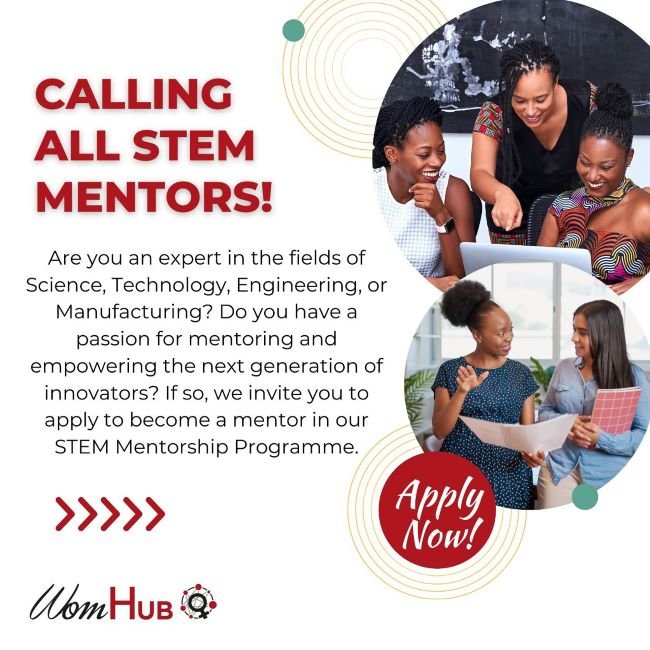 WomHub Mentorship Programmme