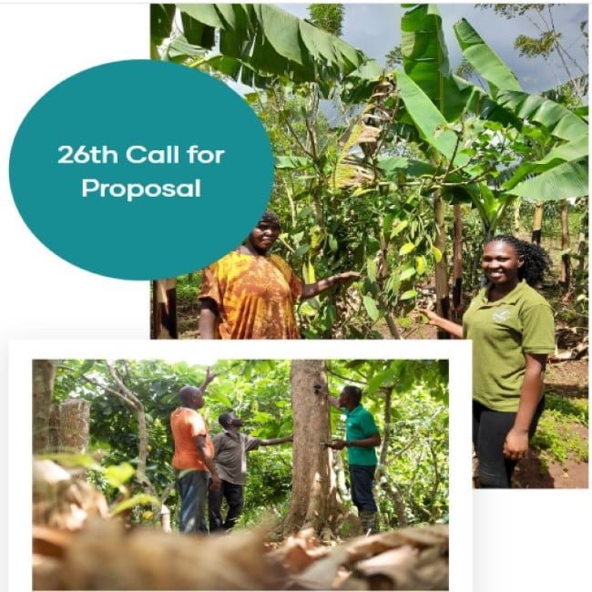 Common Fund for Commodities