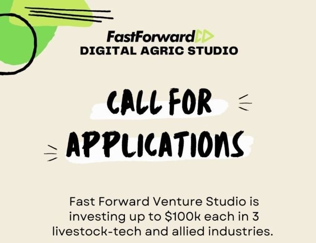 Fast Forward Venture Studio