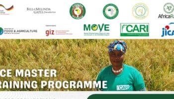 Rice Master Training Programme