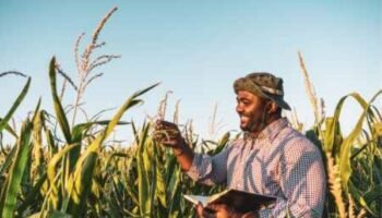 Just Rural Transition Support Program 2025