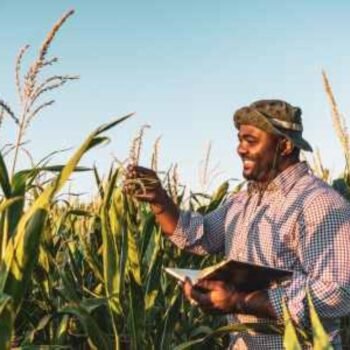 Just Rural Transition Support Program 2025