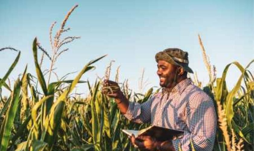 Just Rural Transition Support Program 2025