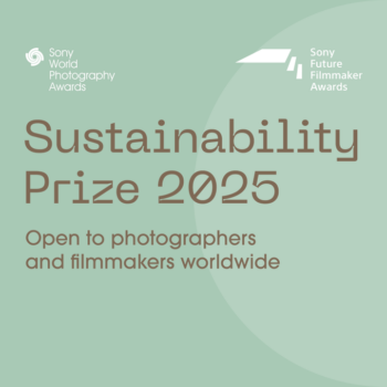 Sustainability Prize