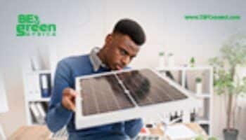 TEF BeGreen Entrepreneurship Programme