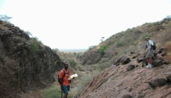 Francis H. Brown African Scholarship