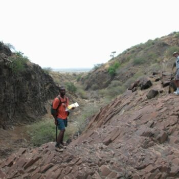 Francis H. Brown African Scholarship
