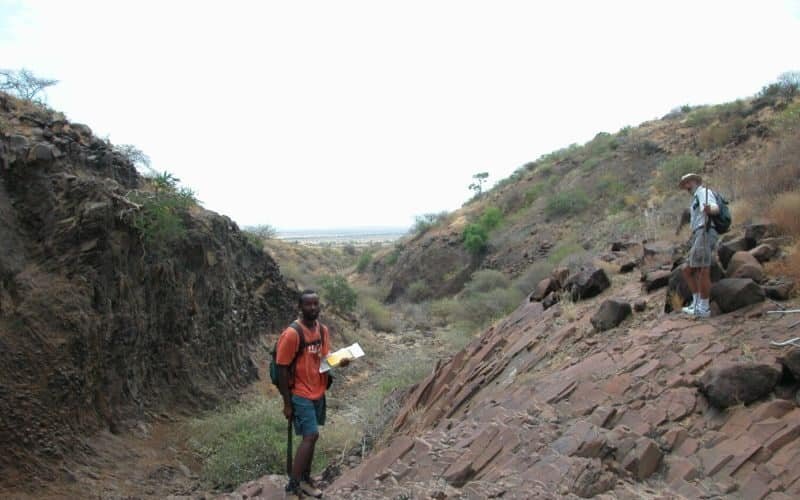 Francis H. Brown African Scholarship