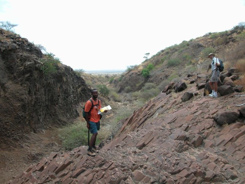 Francis H. Brown African Scholarship