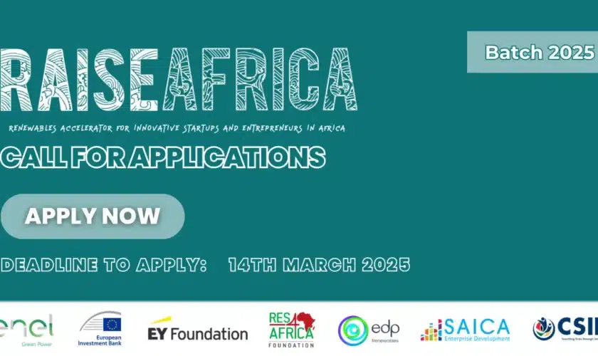 RAISEAfrica Renewables Accelerator