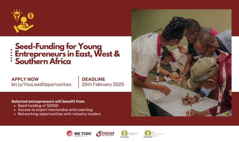 YouLead Africa Seed-Funding for Young Entrepreneurs