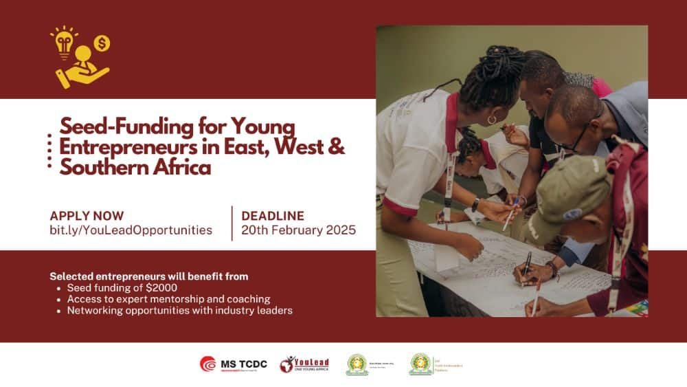 YouLead Africa Seed-Funding for Young Entrepreneurs