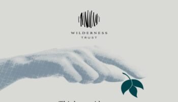 Wilderness Impact Challenge