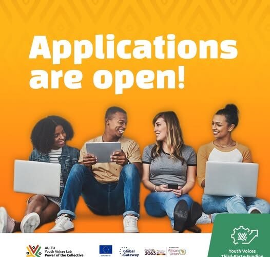 Youth Voices Third-Party-Funding Mechanism (TPFM)