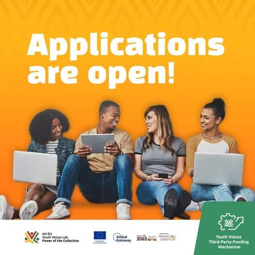 Youth Voices Third-Party-Funding Mechanism (TPFM)