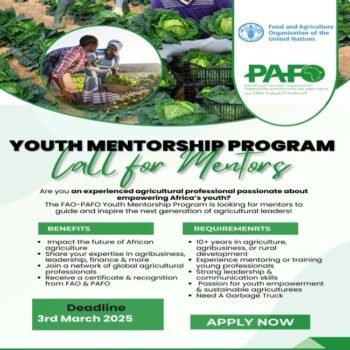 FAO-PAFO Youth Mentorship Program