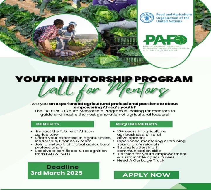 FAO-PAFO Youth Mentorship Program
