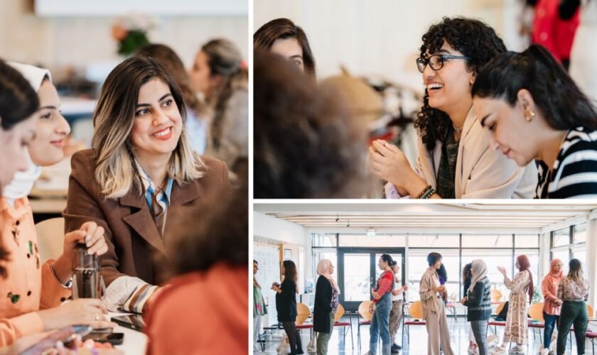 She Entrepreneurs Leadership Programme