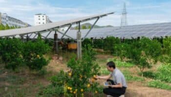 MIT Solve Global Climate Challenge