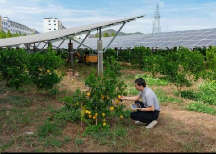 MIT Solve Global Climate Challenge