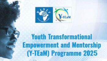 Y-TEaM Programme