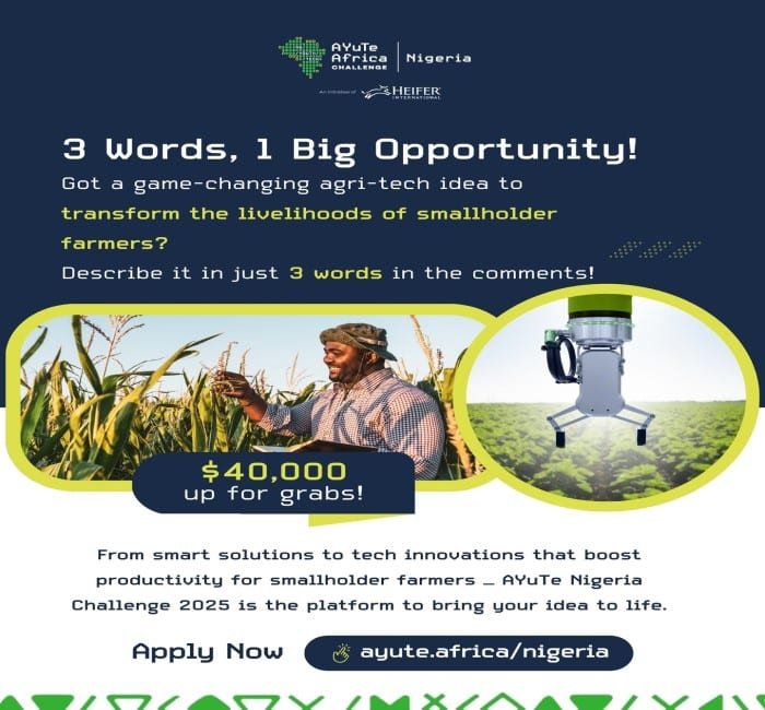 AYuTe Africa Challenge