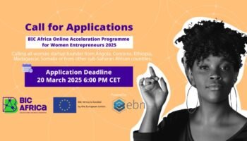 BIC Africa Acceleration Programme
