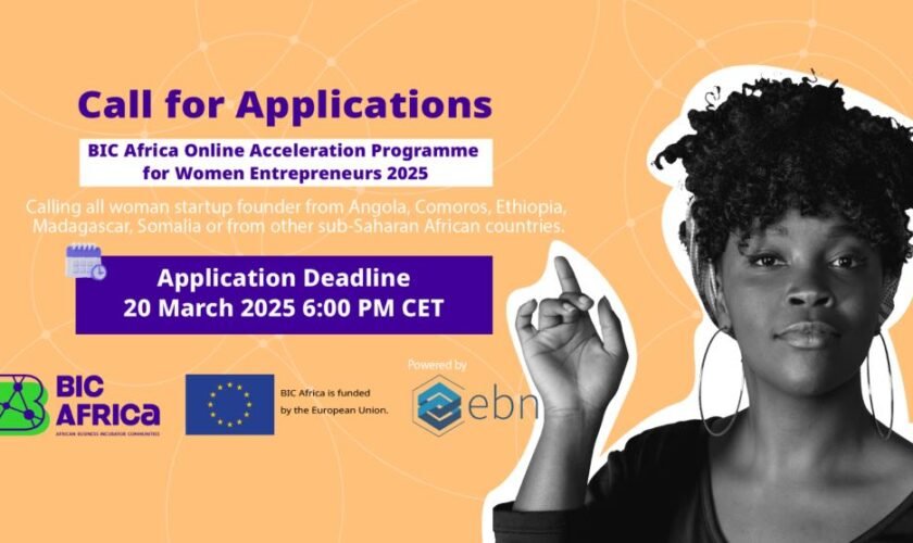 BIC Africa Acceleration Programme