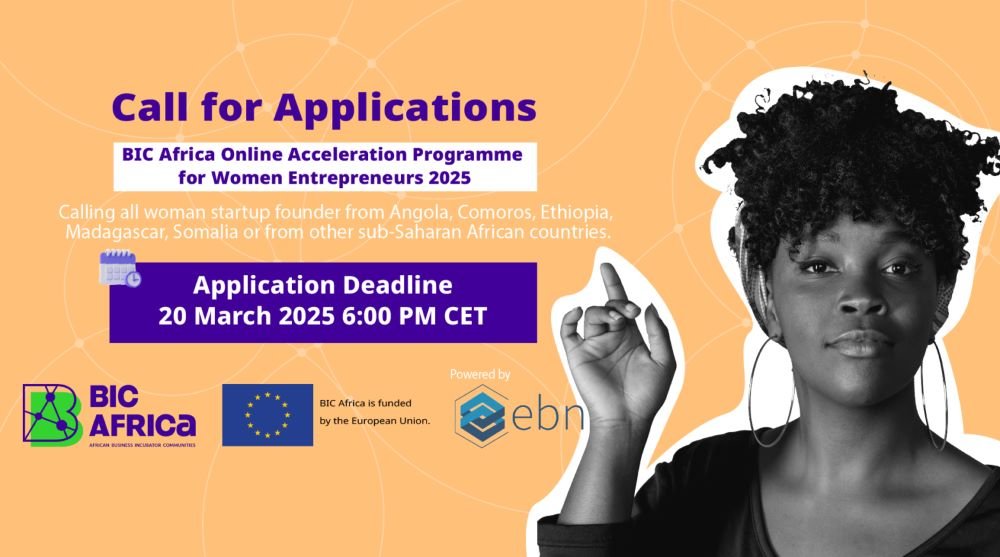 BIC Africa Acceleration Programme