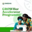 SMEDAN GROWHer Accelerator
