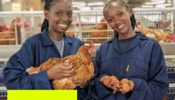 SUC AgriHub Accelerator Program