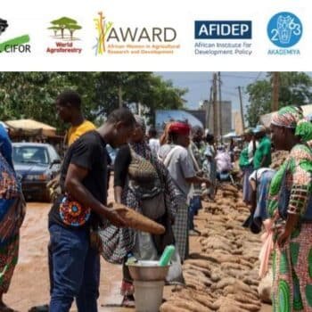 YIA Fellowship in Agrifood Systems