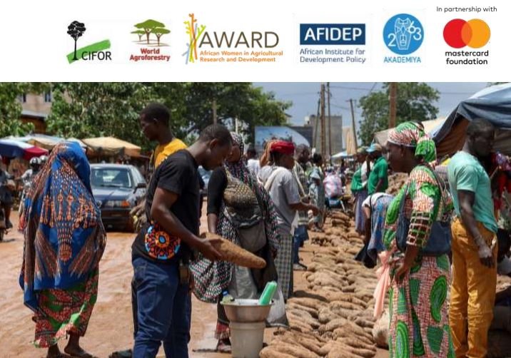 YIA Fellowship in Agrifood Systems